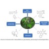 Oligoelements & Aristolochia polifenols