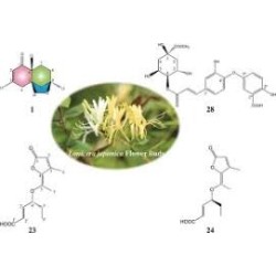 Oligoelements & Lonicera japonica polifenols