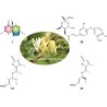 Oligoelements & Lonicera japonica polifenols