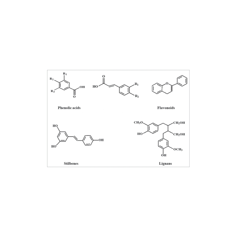 Oligoelements & Lavanda polifenols