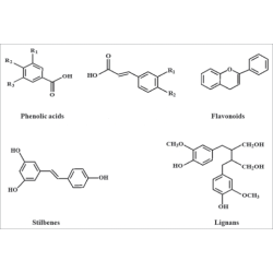 Oligoelements & Crossotephium chinense   polifenols