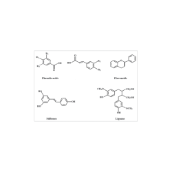 Oligoelements & Pinus polifenols