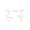 Oligoelements & Selaginella polifenols