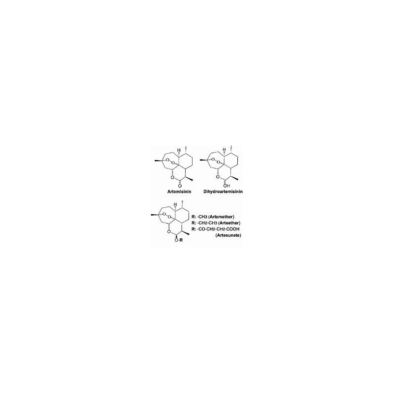 Oligoelements & Artemisia  polifenols