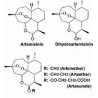 Oligoelements & Artemisia  polifenols