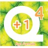 Q4+1 Agri Formula 2liters