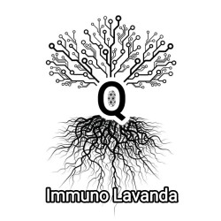 Q Bio Immuno Lavandula 50ml