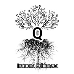 Q Bio Immuno Echinacea 50ml